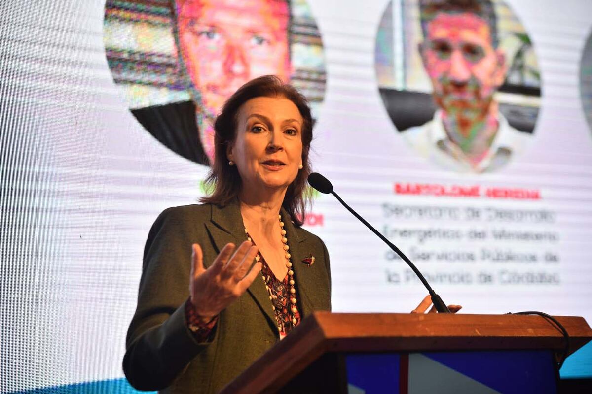 La economista Diana Mondino, presidenta de Banco Roela y una de las expositoras de Proyectar Córdoba. (Pedro Castillo / La Voz)