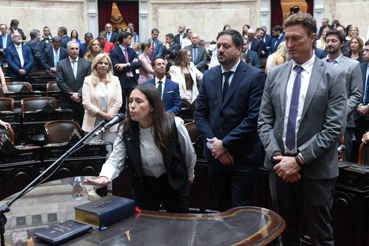 Diputados. Así juró Carolina Basualdo este miércoles 3 de diciembre.