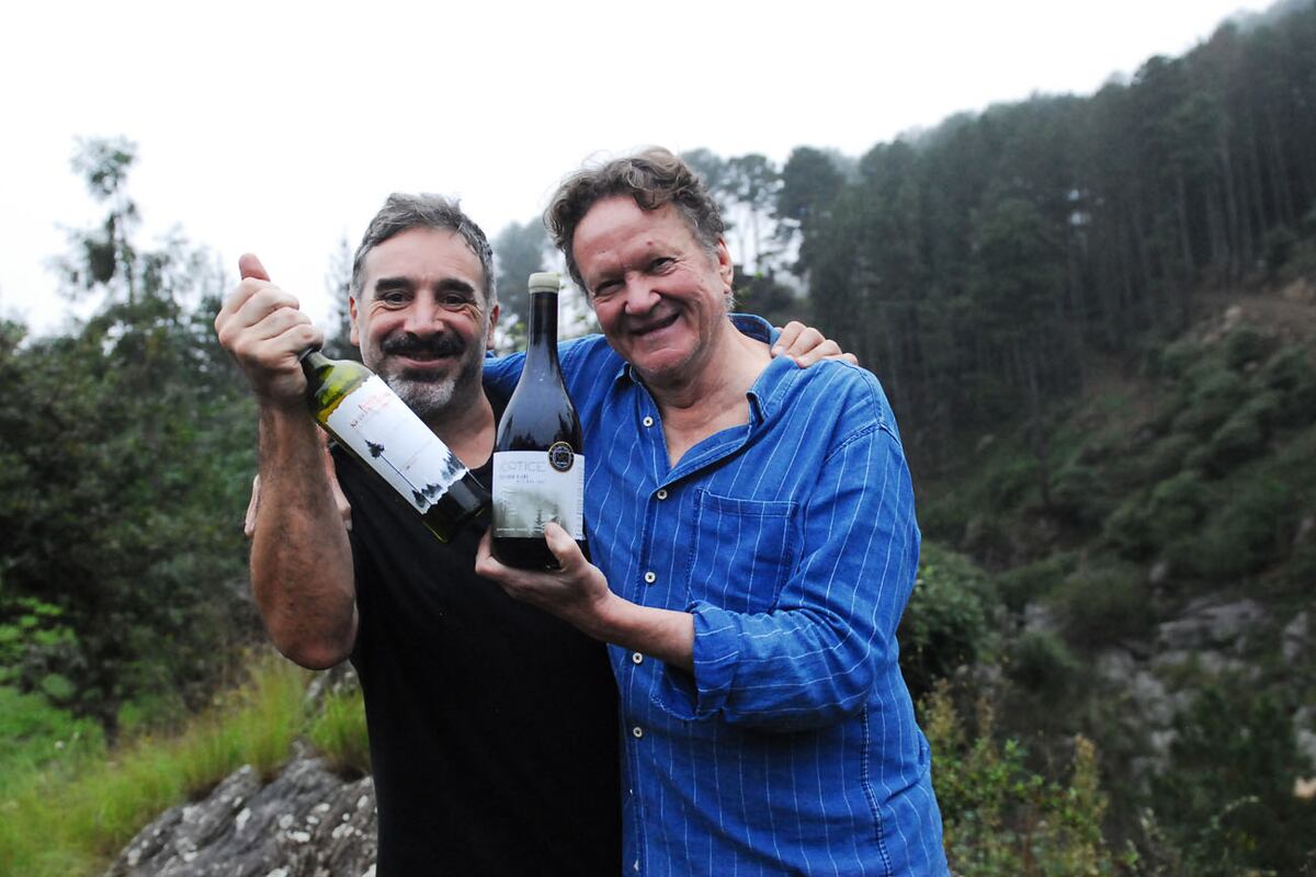 Día del sauvignon blanc, una cepa con historia. (Fotos Javier Ferreyra).