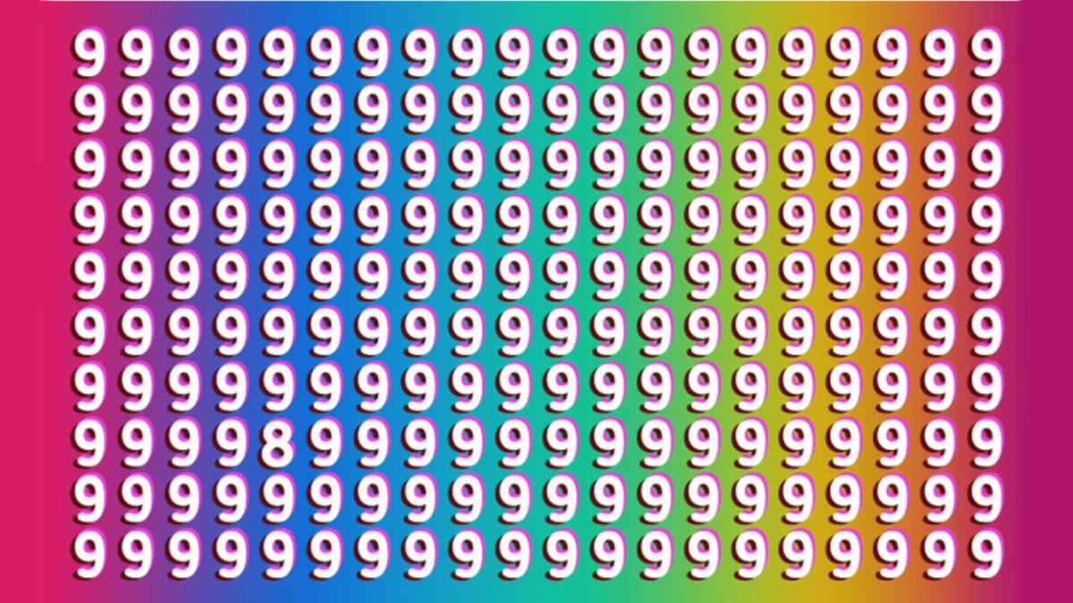El acertijo visual.