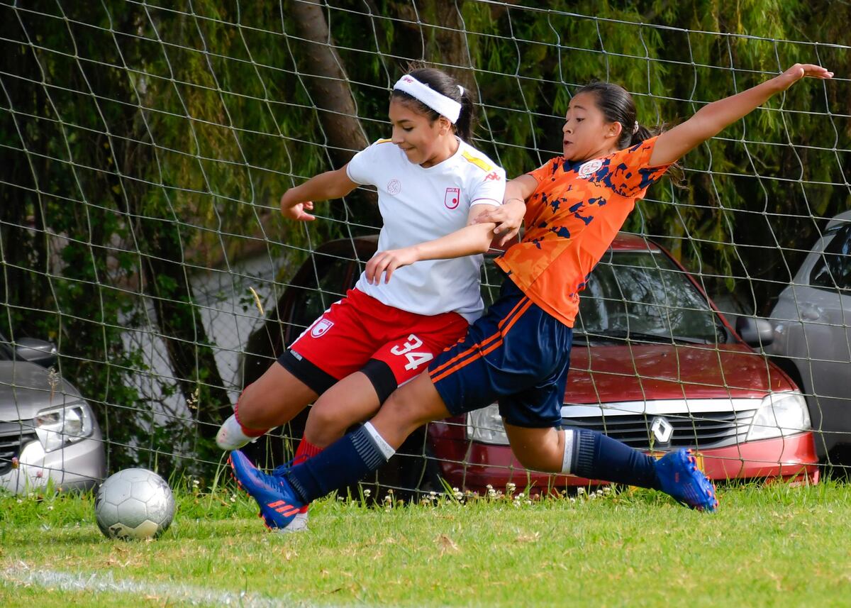 La provincia tendrá un Registro de Ligas Deportivas Amateurs y No Federadas. (Pexels)