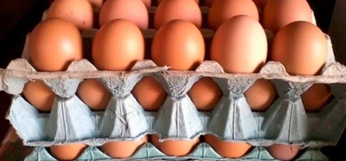 Consumo de huevos en Argentina: por qué hay más demanda y el mito detrás de las “gallinas felices”
