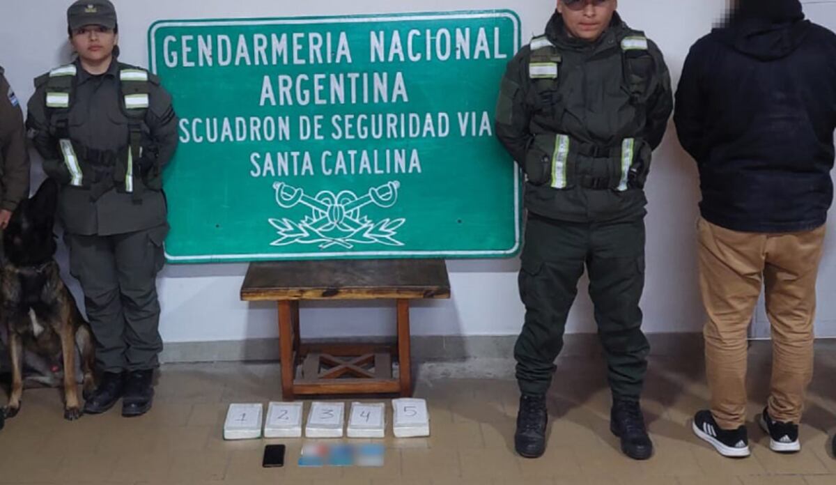 La cocaína secuestrada. (Argentina.gob.ar)