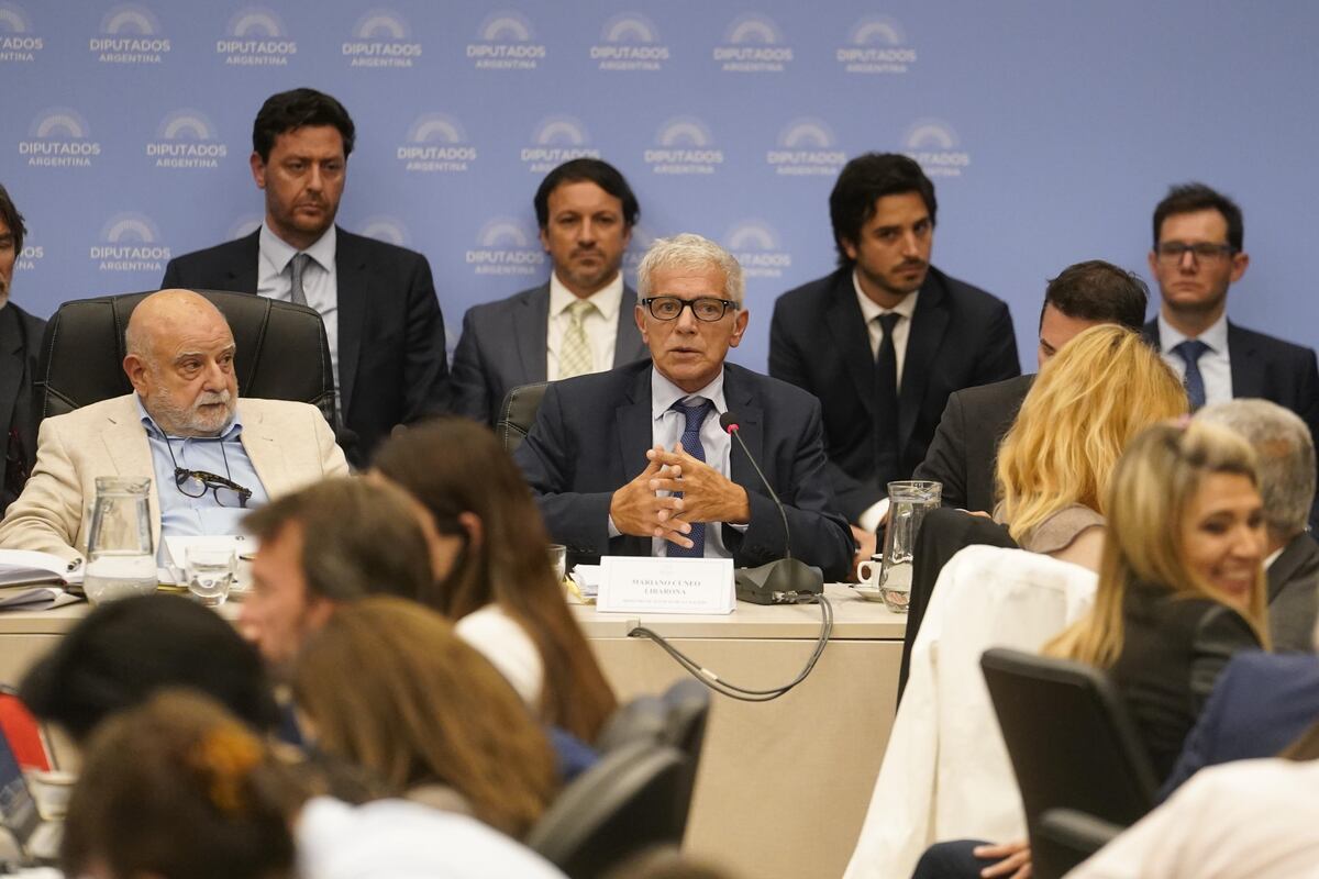 El ministro de Justicia, Mariano Cúneo Libarona. (Clarín)