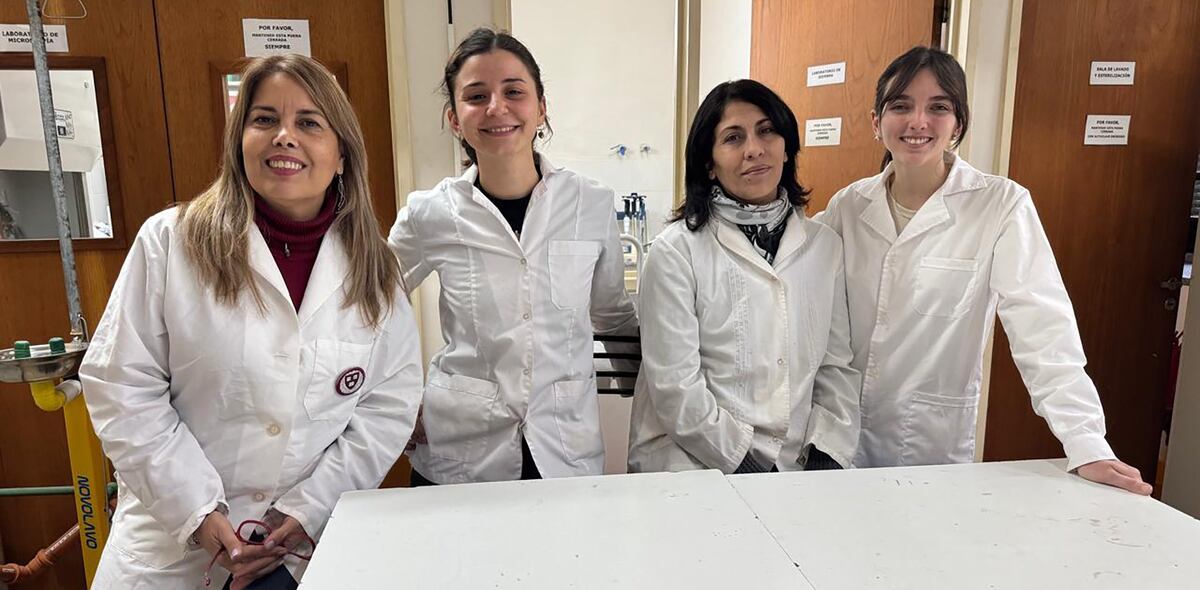 El proceso se denomina “biocementación”. (Equipo de investigación)