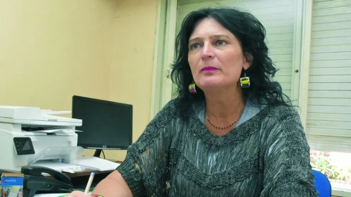 La actual funcionara nacional Alicia Peressutti (Gentileza: Frontera del Sur).