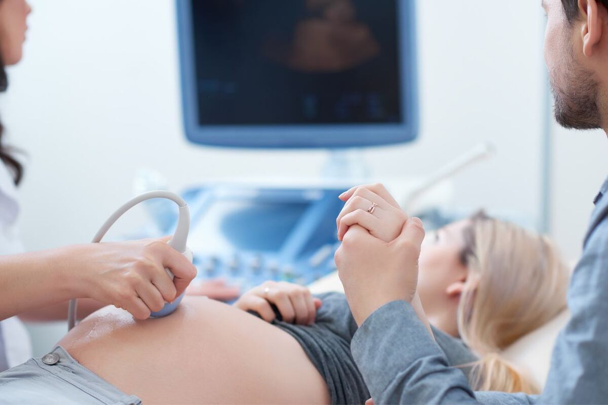 Entre la semana 20 y 22 se realizará la ecografía morfológica, donde podrás conocer el sexo del bebé.