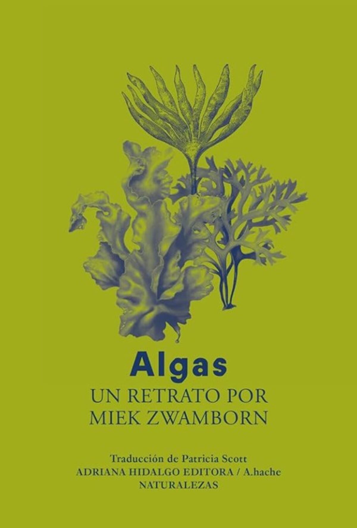 Libro "Algas, un retrato".