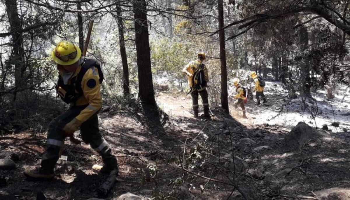 Se esperaban lluvias el fin de semana que aliviaran la situación de los bomberos en el combate contra las llamas.