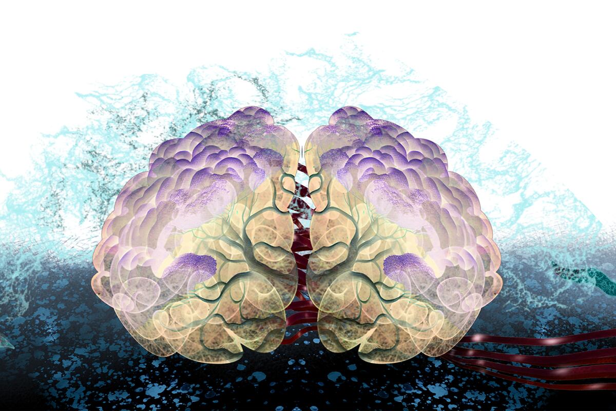 Número Cero. Inmortalidad. Ilustración de Leicia Gotlibowski.