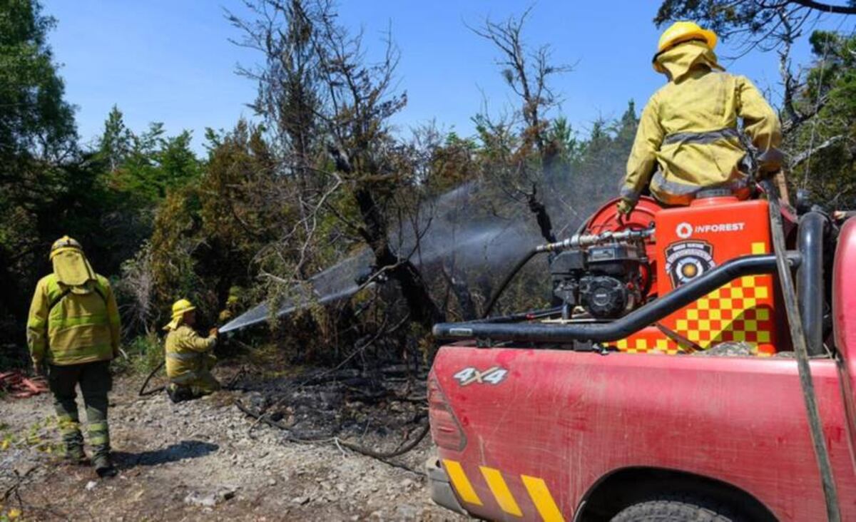 Lograron controlar el incendio en Puerto Patriada y contener el de Los Alerces.