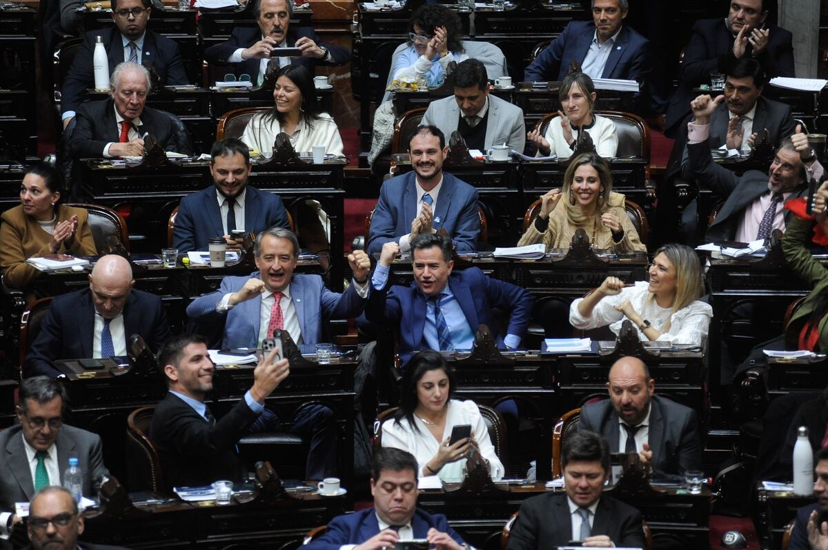 Diputados celebran la aprobación de la Ley Bases. (Federico López Claro)