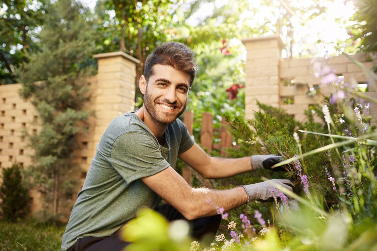 El secreto casero para revivir tus plantas: cómo hacer abono con agua de arroz