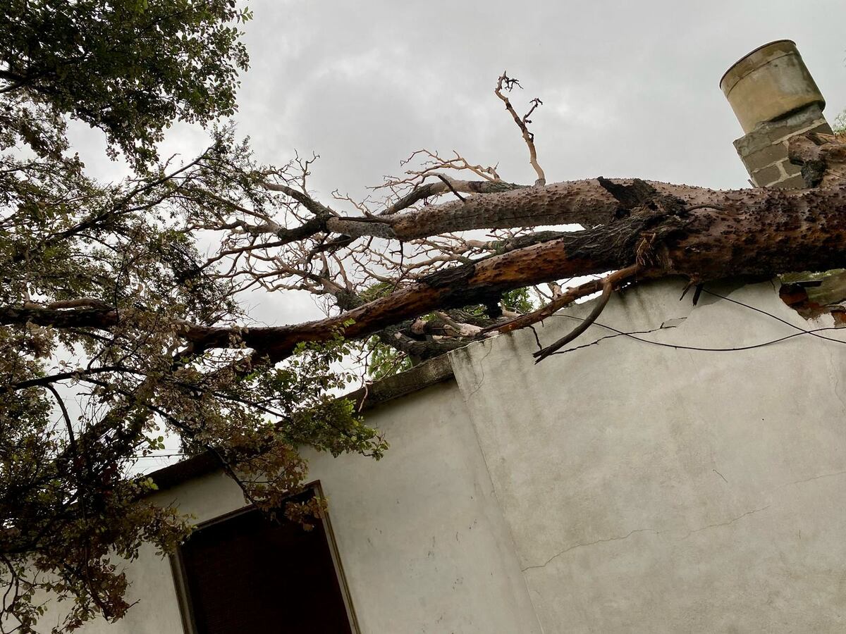 En el sur de la provincia, distintas viviendas y establecimientos se vieron afectados por las tormentas. (Gentileza)