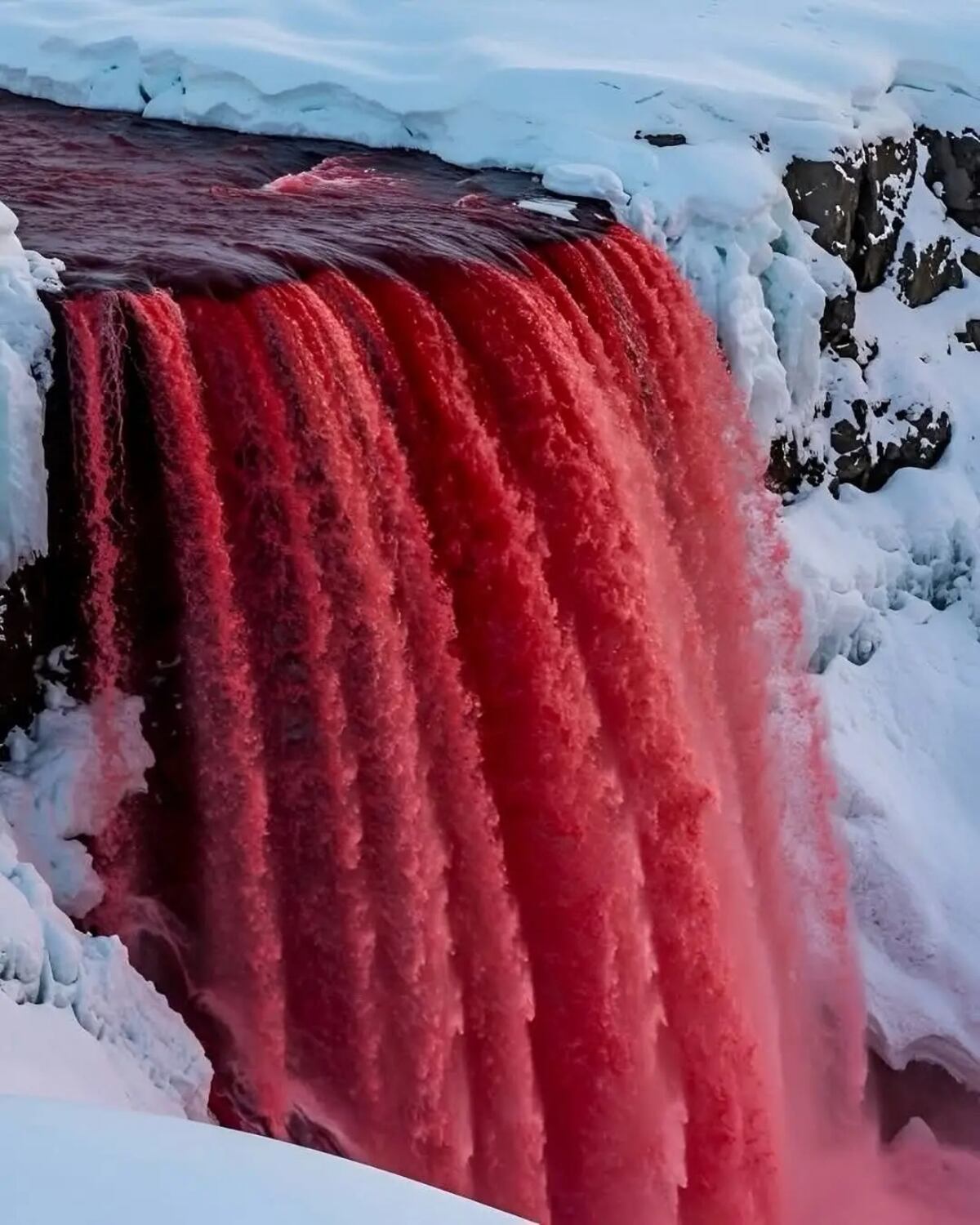 Por qué el glaciar Taylor “sangra”: el misterio de las Cataratas de Sangre