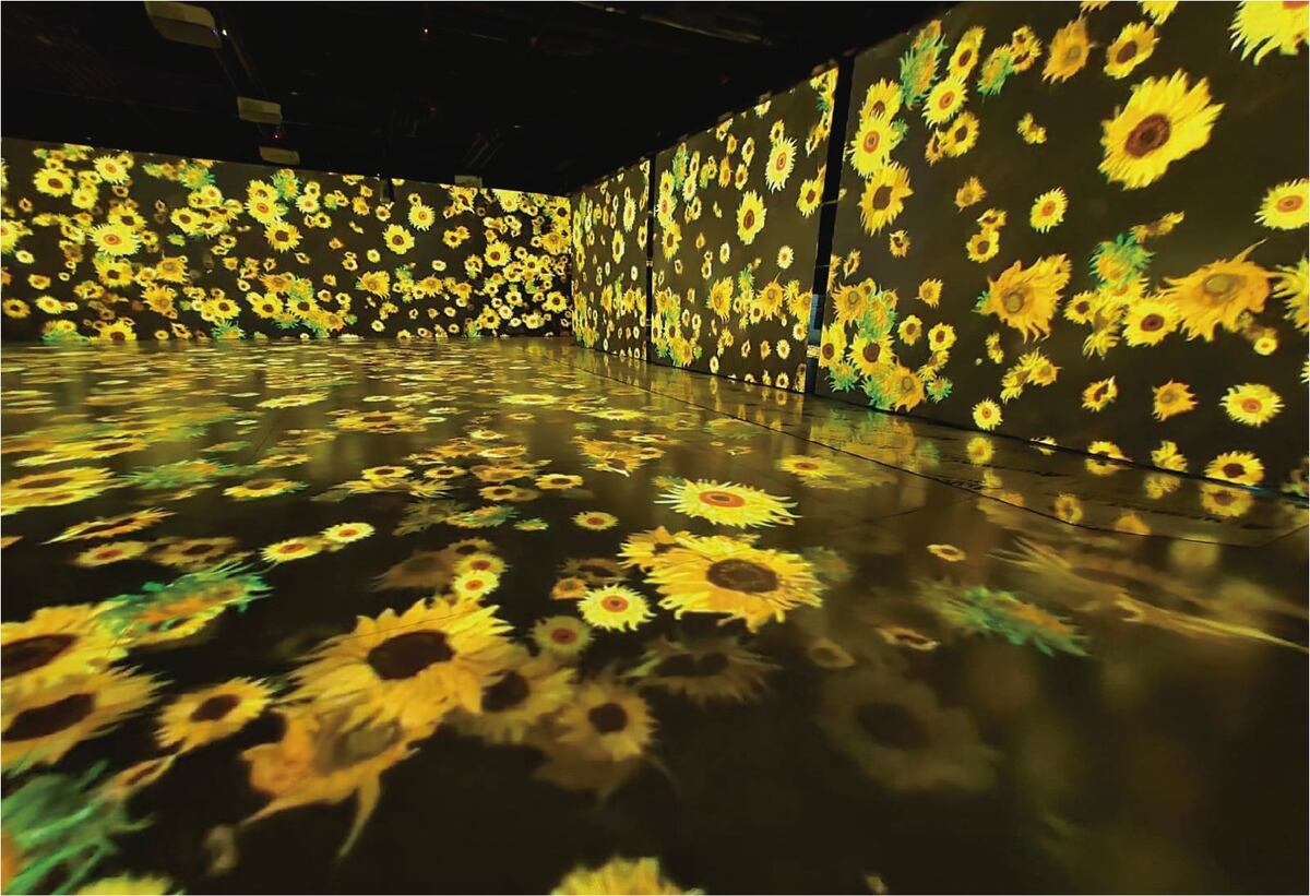 La muestra "Van Gogh, el sueño inmersivo", será en el Centro de Convenciones Córdoba.