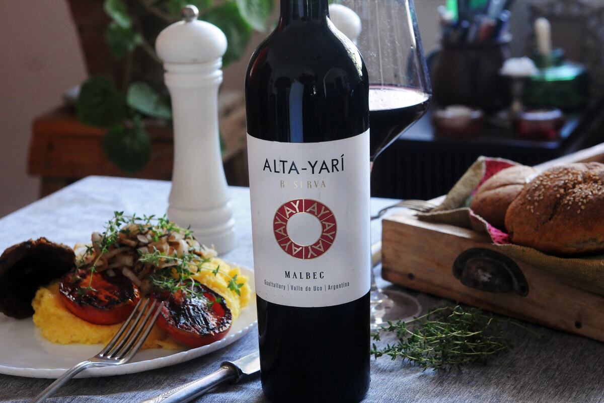8 Bodega Alta Yarí, Mendoza. (Javier Ferreyra).