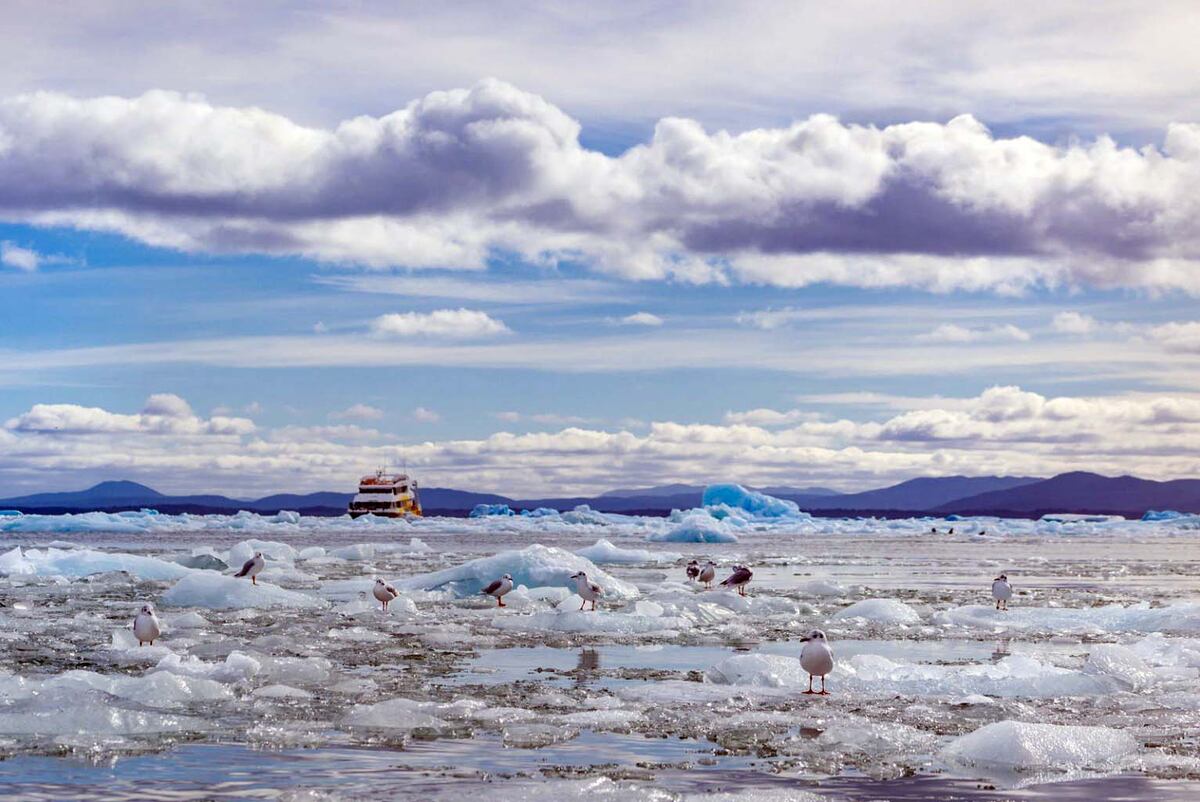 Los increíbles paisajes de los fiordos en Chile. (Foto: Chile.Travel)