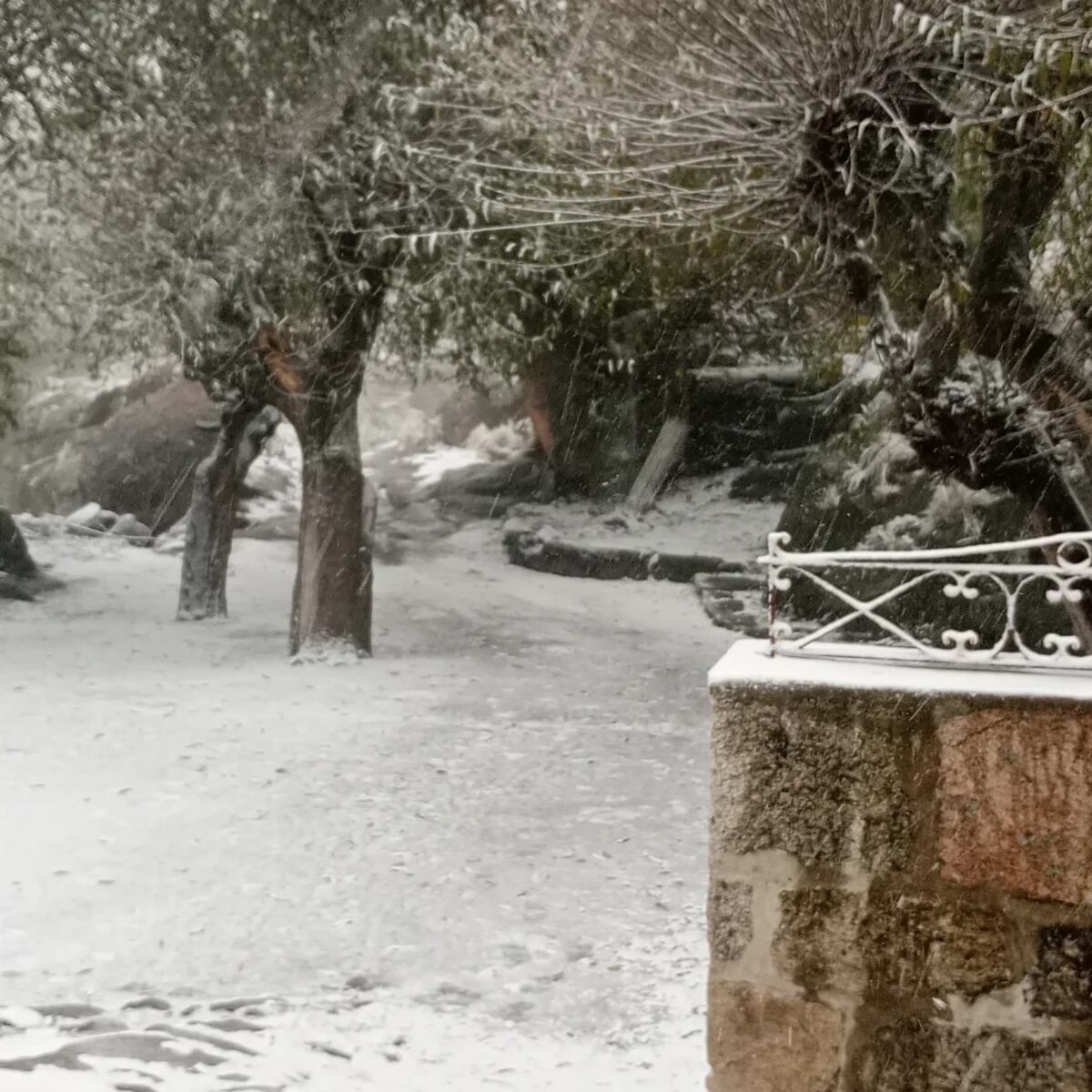 La nevada en el cerro Champaquí registrada por el refugio Héctor González. (Instagram)