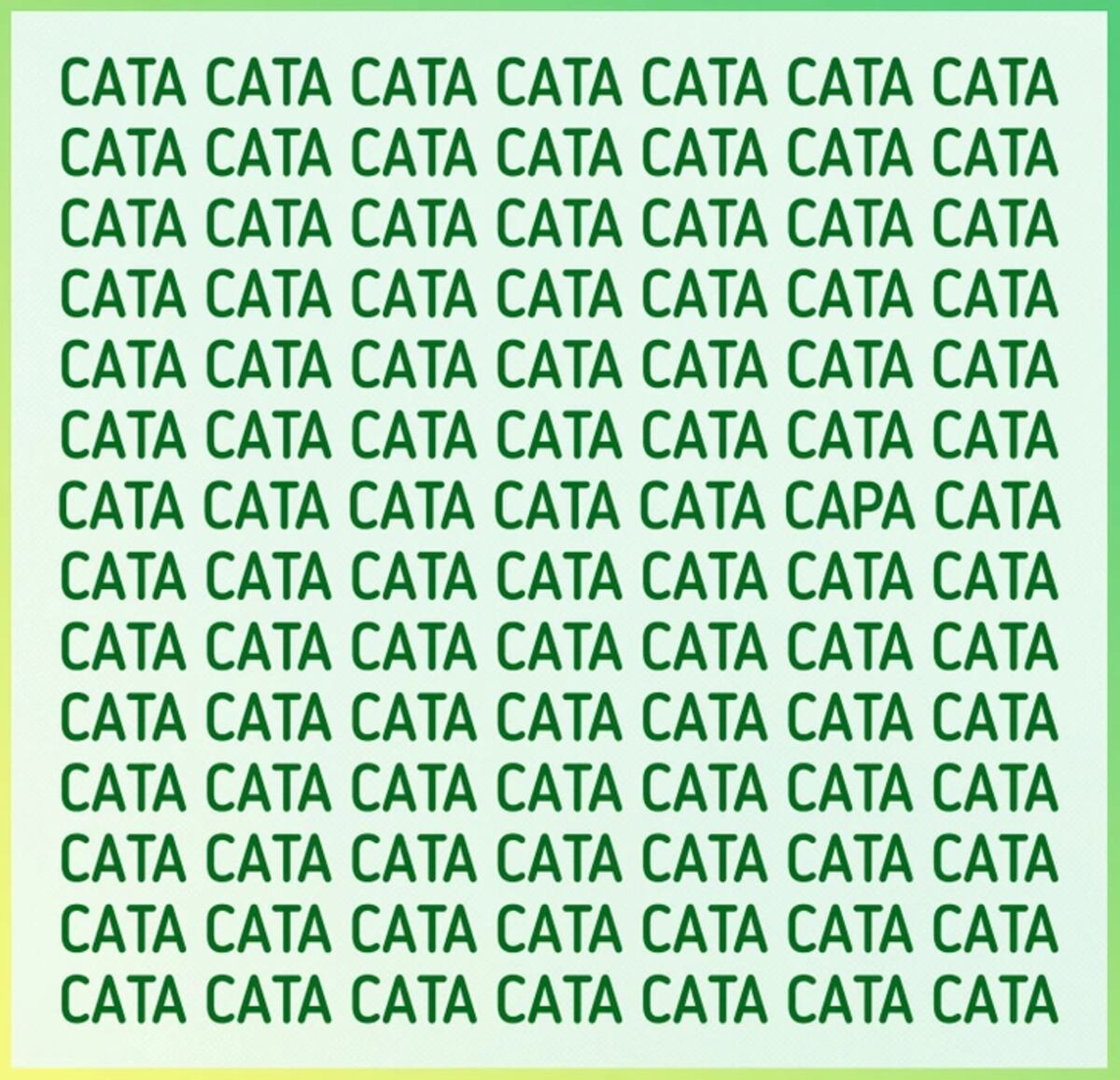 El acertijo visual.