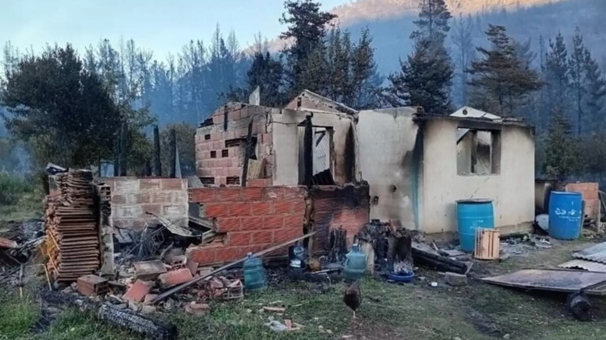 El incendio forestal que afectó a más de 2.000 hectáreas dejó viviendas destruidas y familias evacuadas. Una joven de Puerto Patriada relató el drama que atraviesa tras perder su casa, su emprendimiento y animales. (Gentileza)