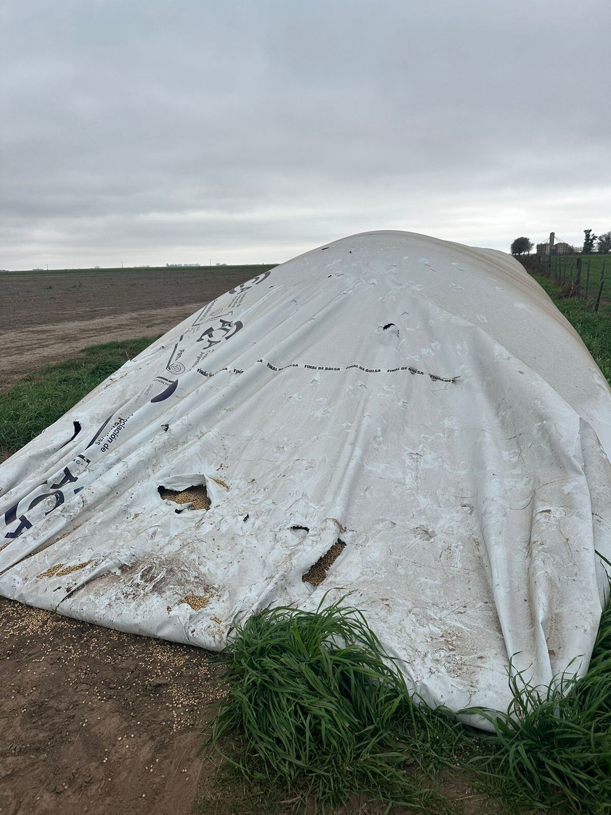 Villa Elisa: detuvieron a tres hombres por daños en un silo bolsa en un establecimiento rural. (Gentileza)
