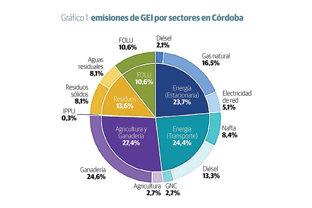 Gráfico 1.
