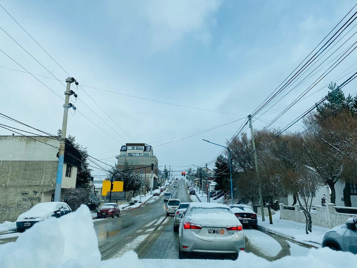 Postales de la última nevada en Ushuaia. (Gentileza Guillermo Worman)