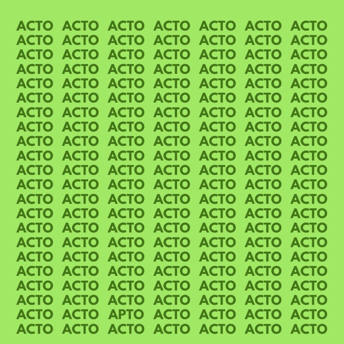 El acertijo visual.