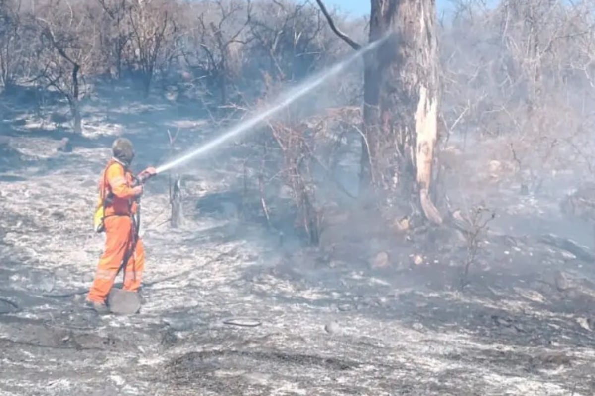 Incendio forestal en Embalse. (Facebook Bomberos Embalse)