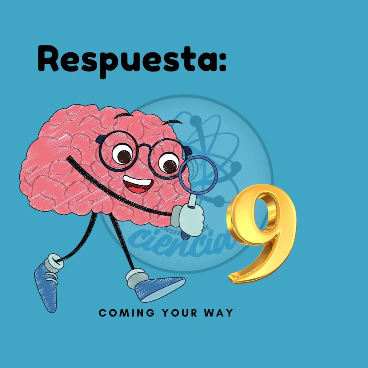 La solución del acertijo visual.