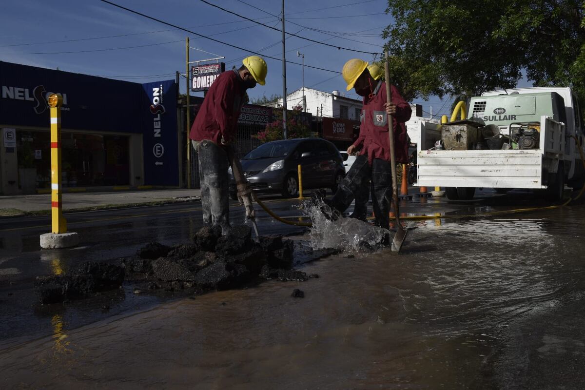 Imagen de la nota