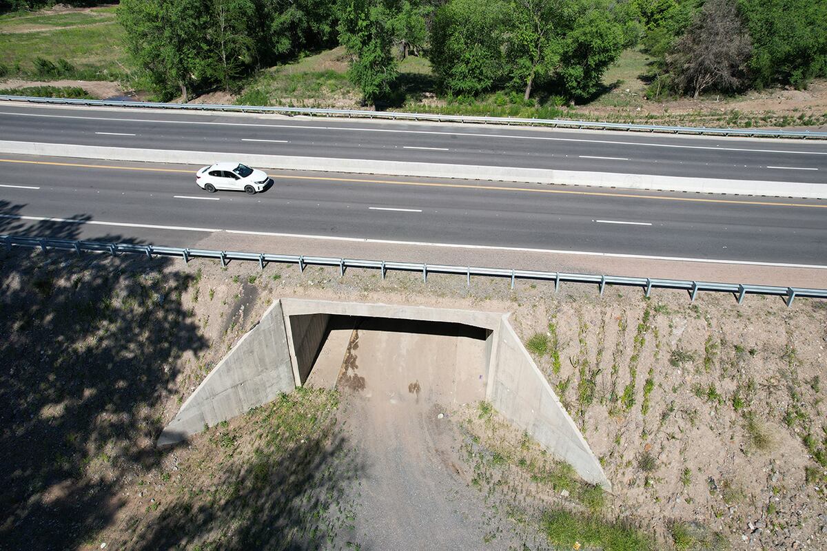 Un pasafauna a la altura de Villa Bustos permite a los animales cruzar por debajo de la Autovía Punilla. (La Voz)