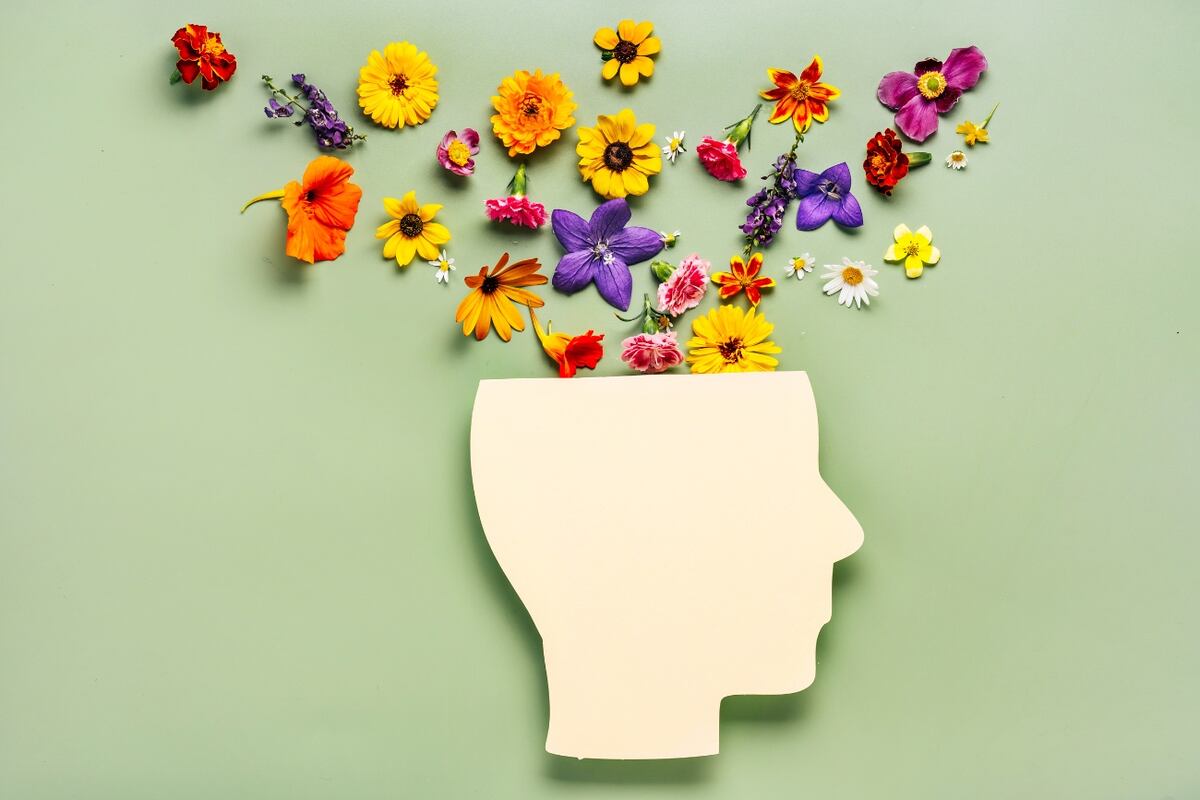 Efemérides. Día Mundial del Bienestar Mental para Adolescentes. (Imagen ilustrativa)
