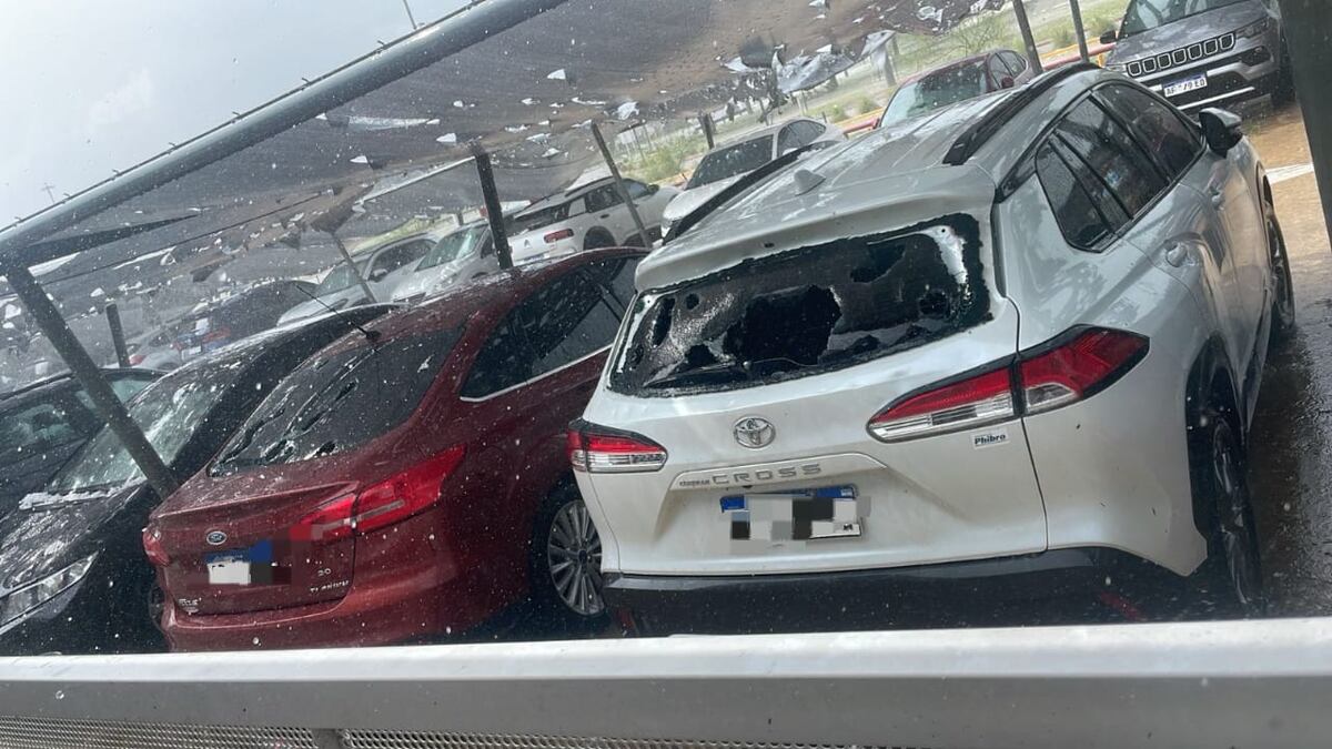 Los destrozos generados por el granizo en Córdoba.