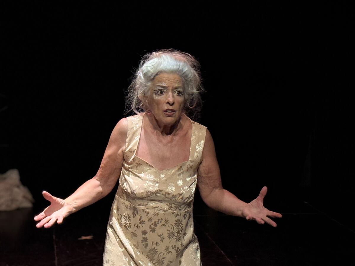 Estrella Rohrstock, emblema de la escena teatral cordobesa, es una de las protagonistas de "Fantasmáticas", obra próxima a estrenarse en el Teatro Comedia. (Gentileza Luciano Delprato)