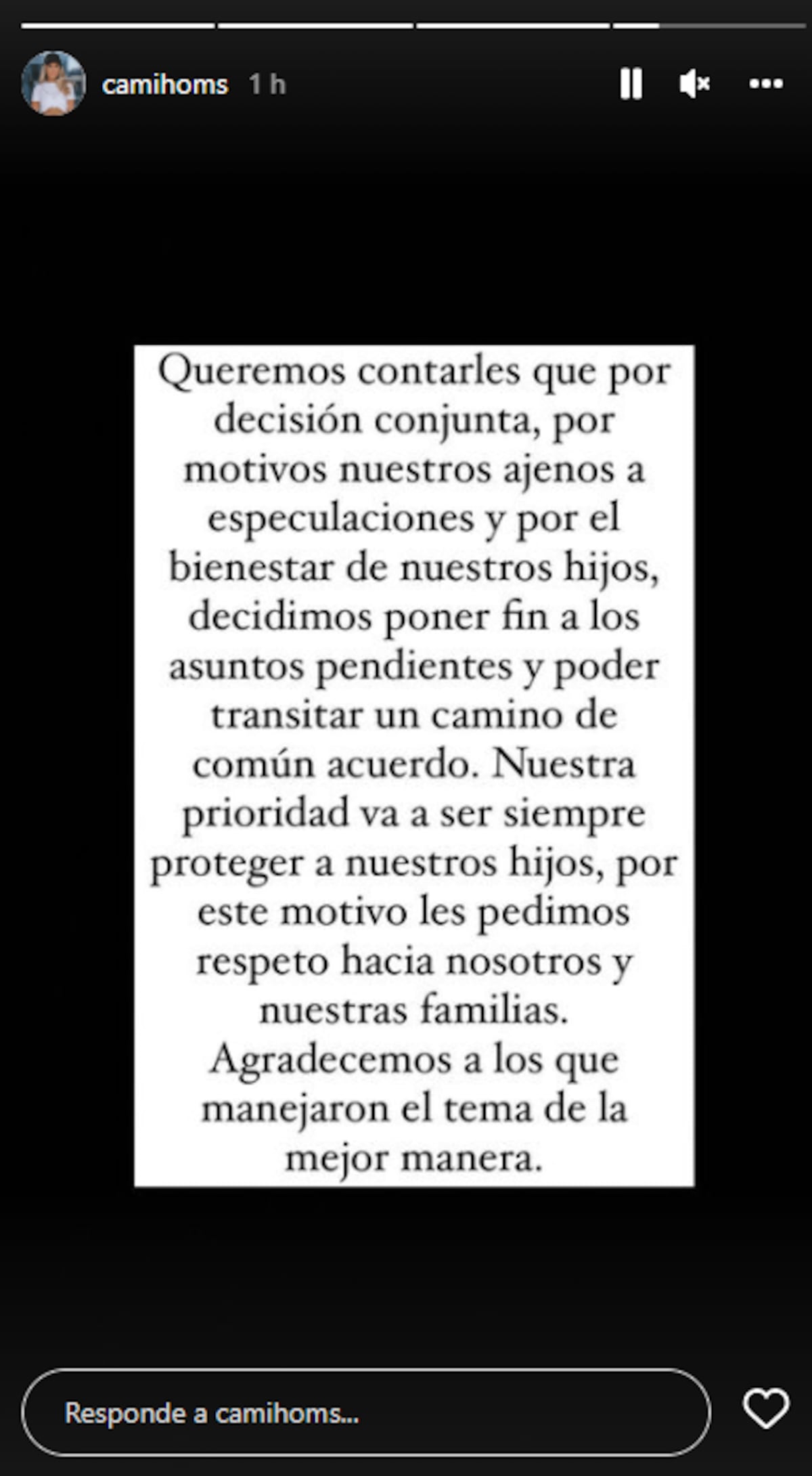 El comunicado publicado por Camila Homs. (Instagram @camihoms)