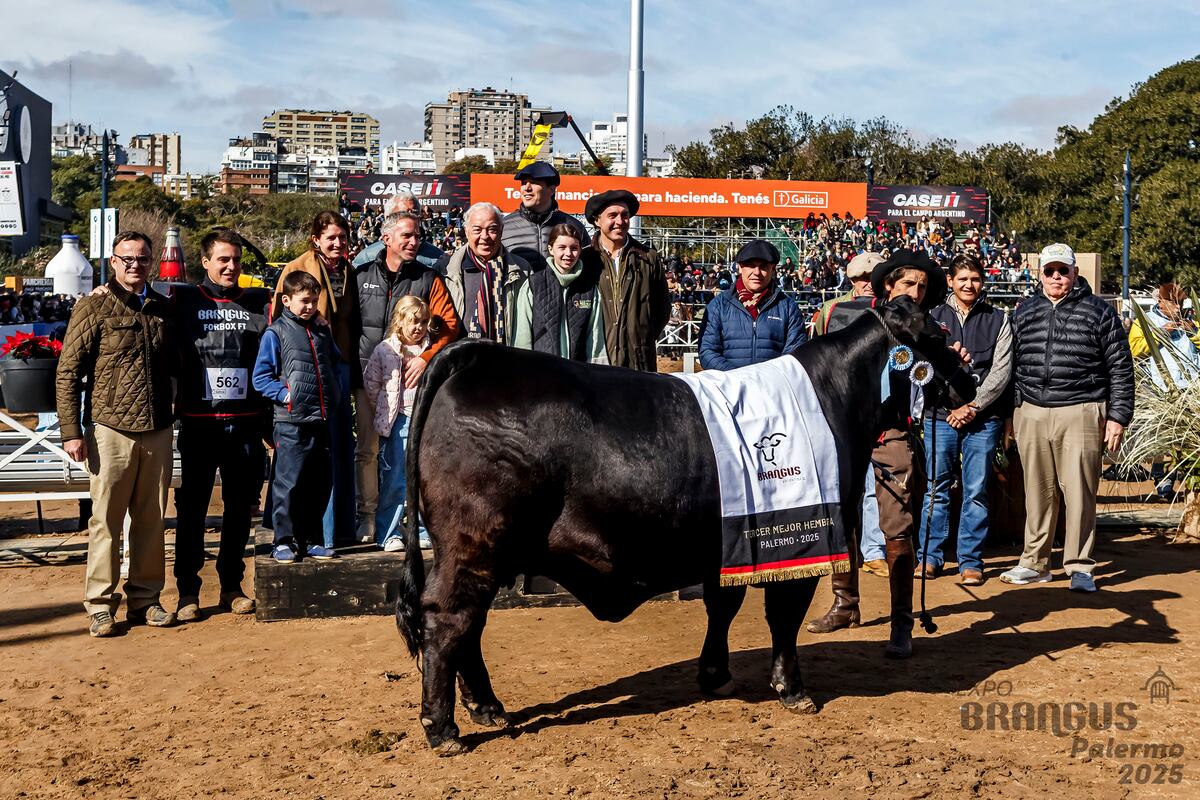 TERCER MEJOR HEMBRA. Cabaña Pozo de la Carreta, de Rayo Cortado.