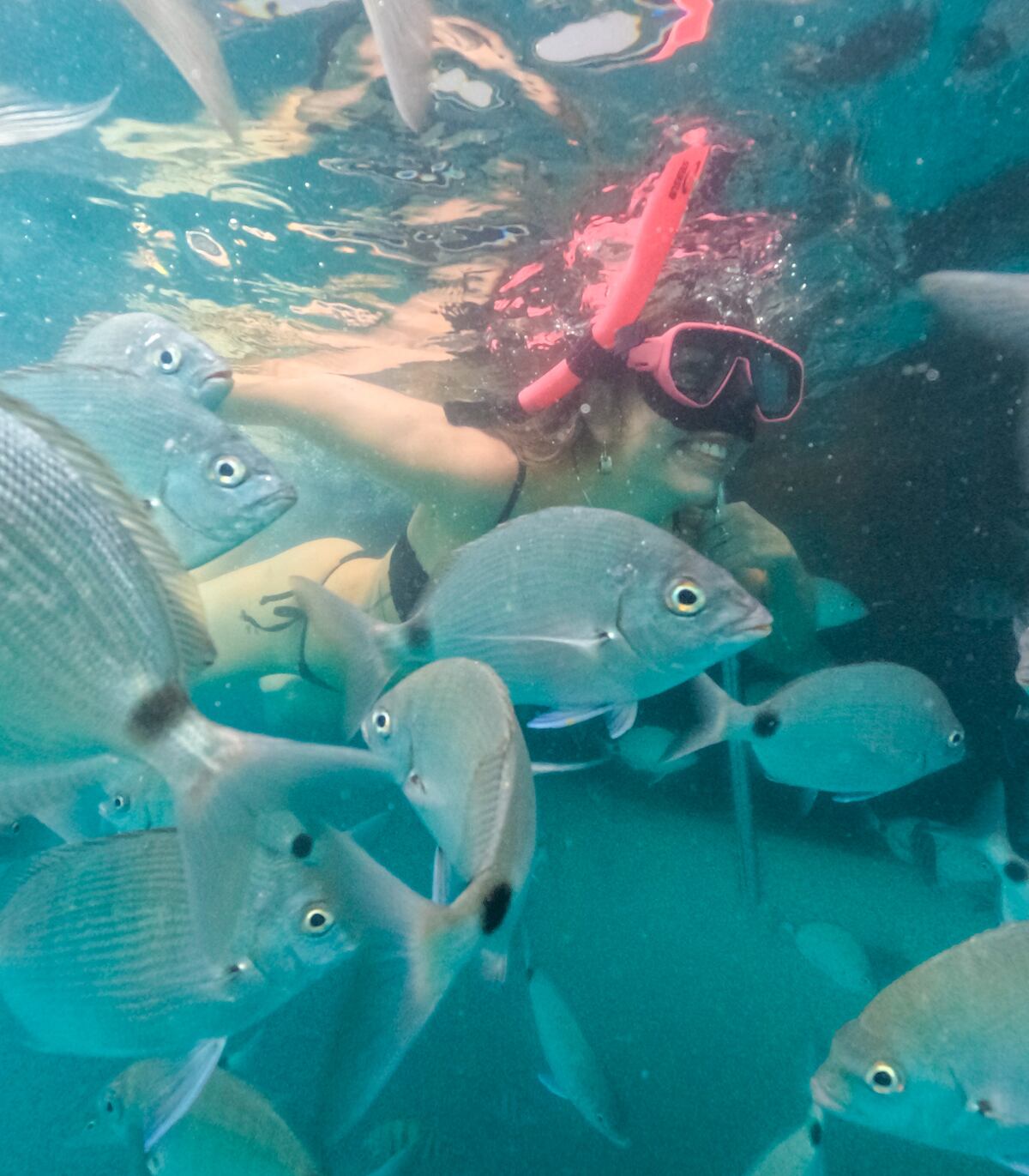 Conocido como el “Caribe brasilero”, Arraial do Cabo deslumbra con sus aguas cristalinas.