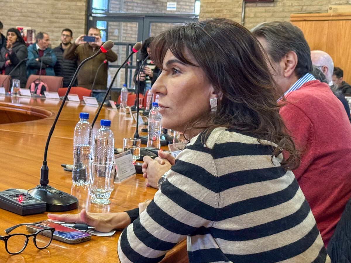 Natalia de la Sota en la reunión de rectores de universidades públicas de Córdoba con legisladores. (Prensa UNC)
