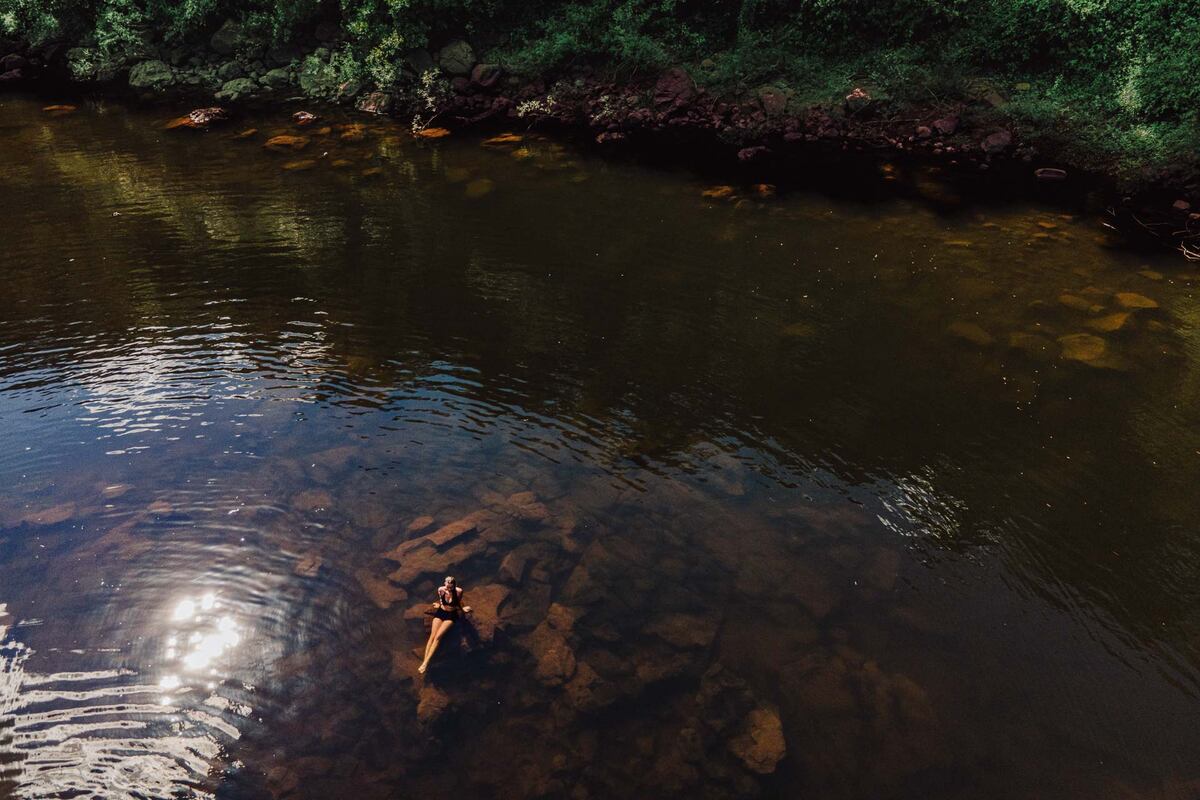 Un recorrido por la selva misionera para una aventura al natural. (Foto La Ruta Natural)