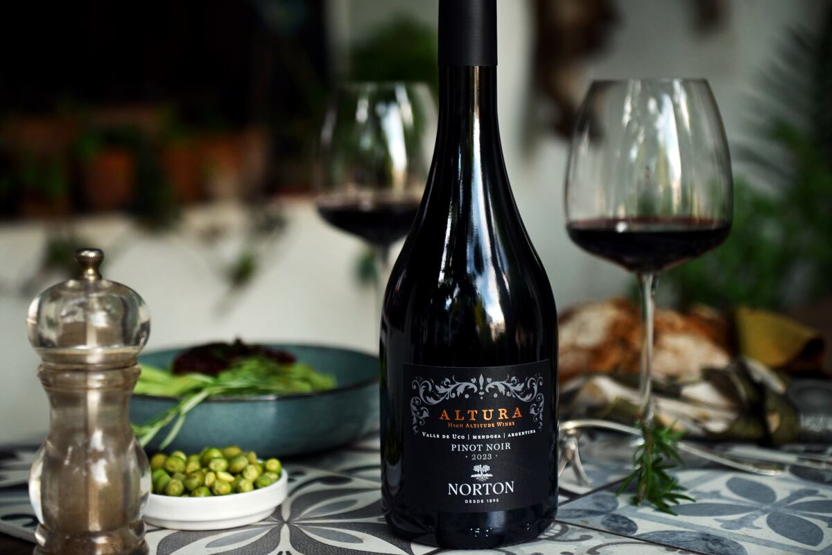 El pinot noir de la serie Altura de la bodega Norton. (Javier Ferreyra )