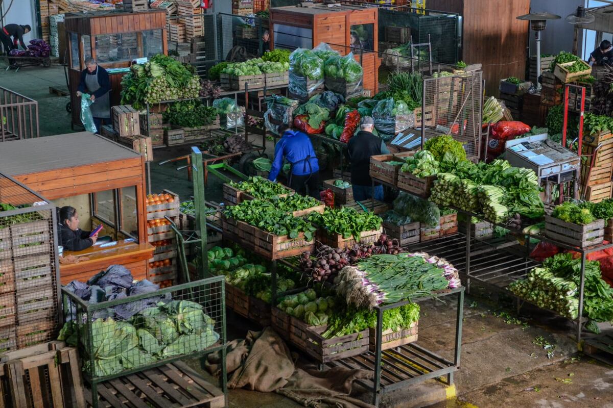 CINTURÓN VERDE. En Río Cuarto, la producción hortícola se desarrolla en un área de 450 hectáreas que se comercializa en un mercado de abasto local. (Gentileza Mercado de Abasto de Río Cuarto)