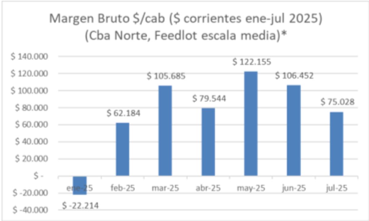 Datos propios. BC Rosario, Rosgan, MAG Cañuelas, SRJM.