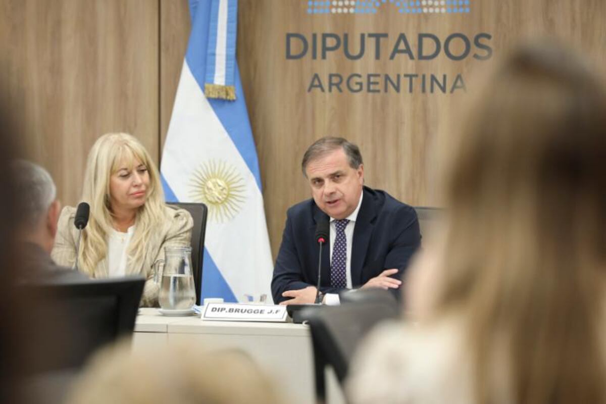 El diputado cordobés Juan Brügge (Encuentro Federal), presidente de la Comisión de Asuntos Municipales (Foto: HCDN)