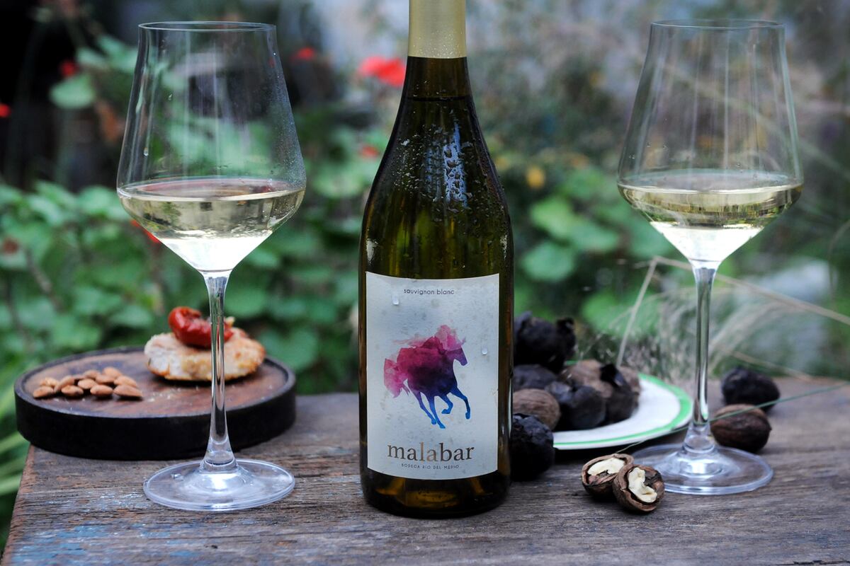 Selección de vinos sauvignon blanc: etiquetas recomendadas. (javier Ferreyra).