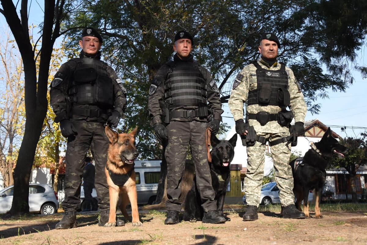 La perra Inca se retira de la Policía de Córdoba. (Provincia)