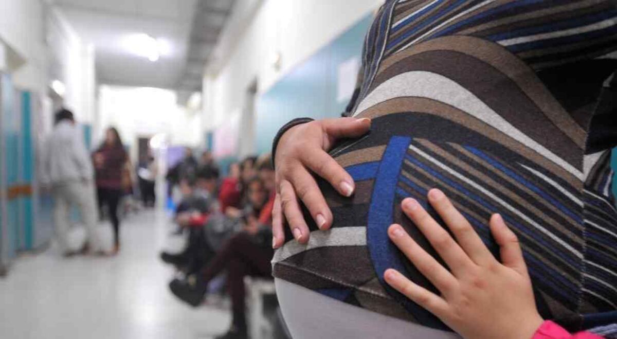La ley de fertilización amplió posibilidades para toda la población