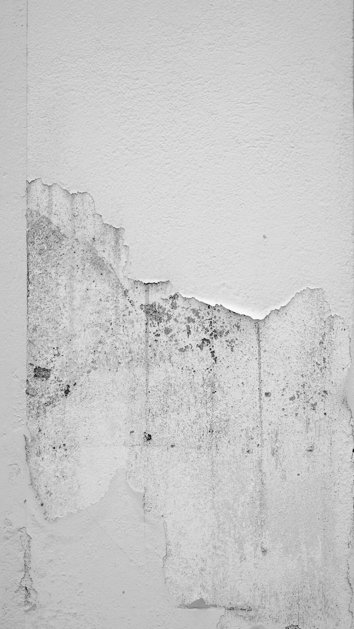 Las humedades en las paredes son uno de esos problemas que parecen menores al principio y que, con el tiempo, terminan afectando al confort y al aspecto de toda la casa. (Unsplash)