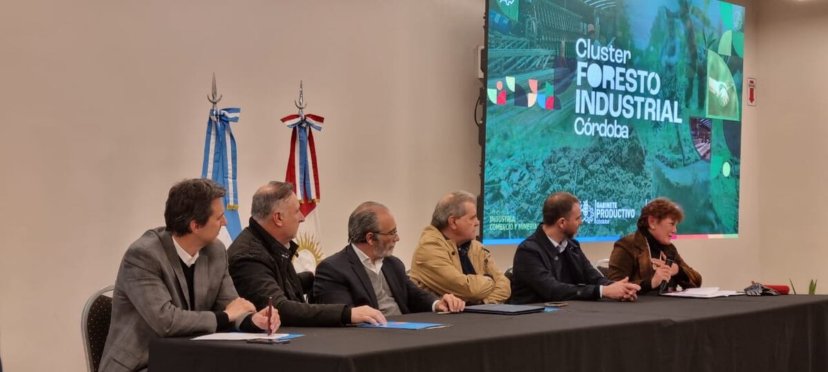 El "cluster" incluye a todos los eslabones: producción y forestación, construcción y diseño (muebles, revestimientos, pisos), innovación y transformación energética a través de la utilización de residuos. (Prensa Gobierno)